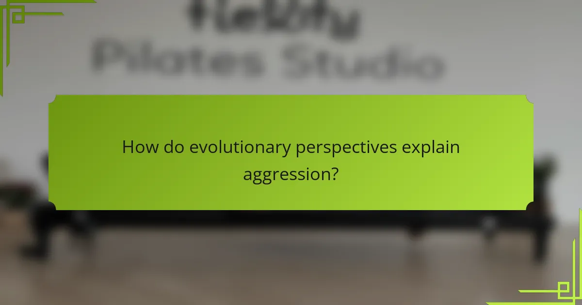 How do evolutionary perspectives explain aggression?