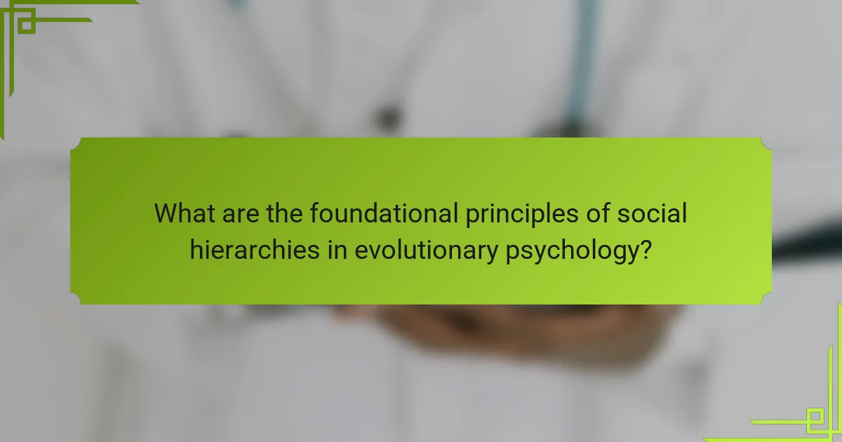 What are the foundational principles of social hierarchies in evolutionary psychology?