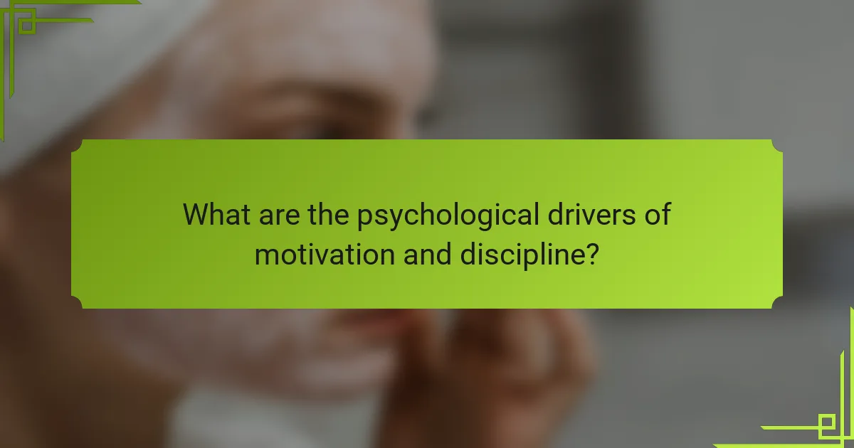 What are the psychological drivers of motivation and discipline?