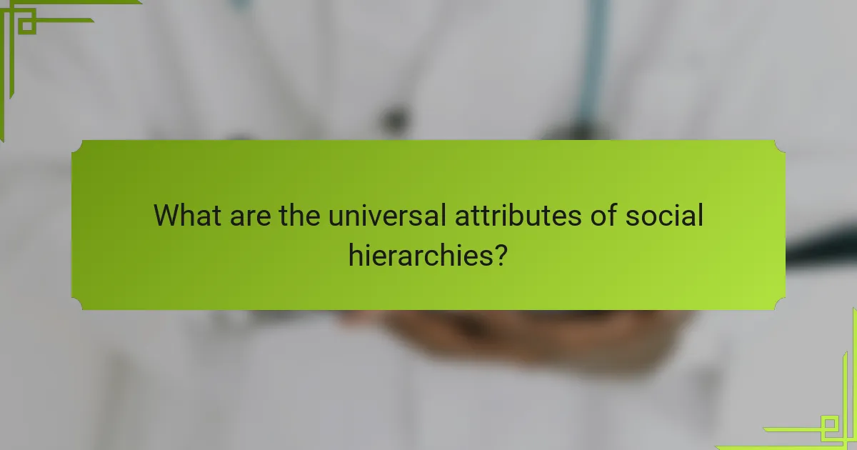 What are the universal attributes of social hierarchies?