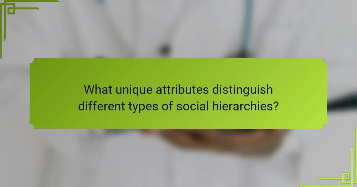 What unique attributes distinguish different types of social hierarchies?
